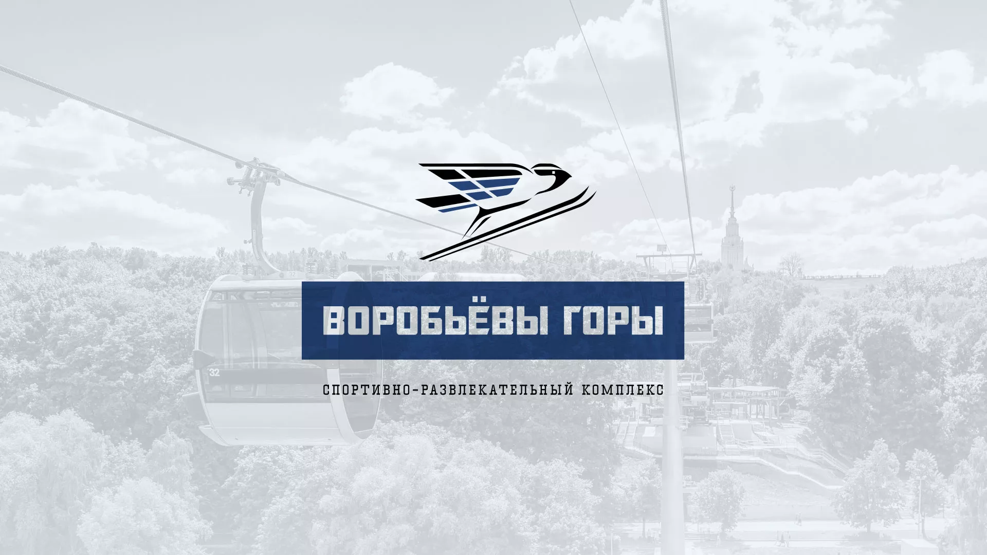 Разработка сайта в Новошахтинске для спортивно-развлекательного комплекса «Воробьёвы горы»