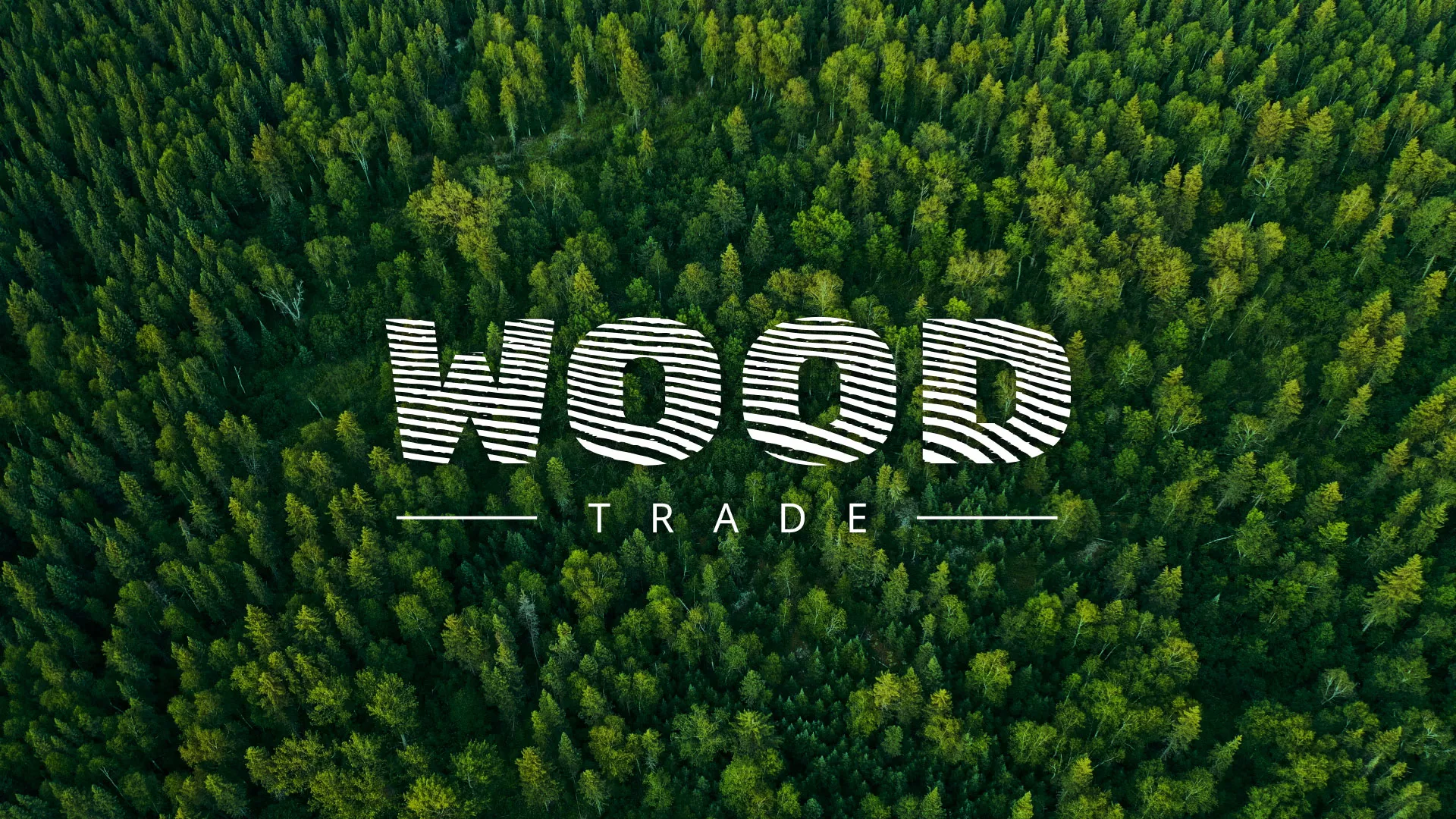Разработка интернет-магазина компании «Wood Trade» в Новошахтинске